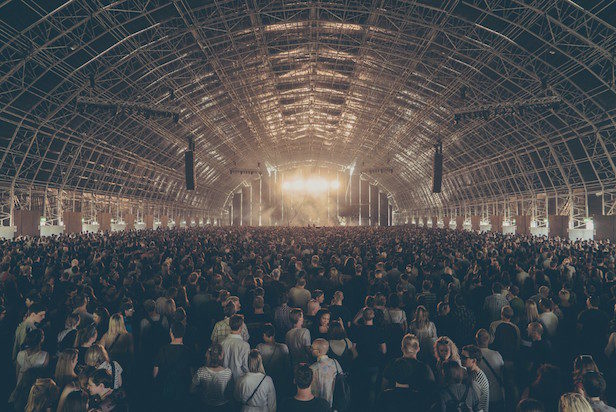 Image result for field day festival
