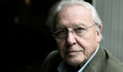 David Attenborough seeks producers for gamelan remix