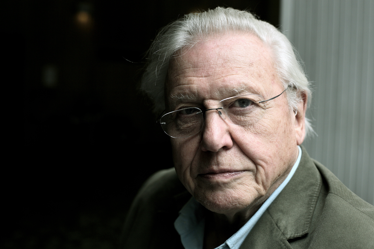 David Attenborough