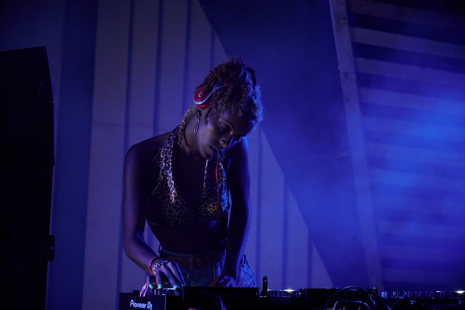 Terraforma 2019 review
