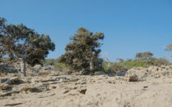 Gigi Masin explains how a remote Greek island inspired his new album