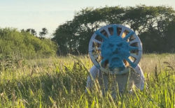 Code Walk soundtrack strange ceremonies in ‘Melt’