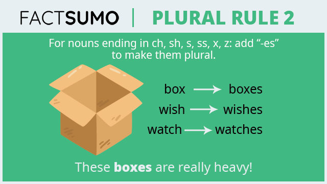 S Es Endings Plural Rules Factsumo