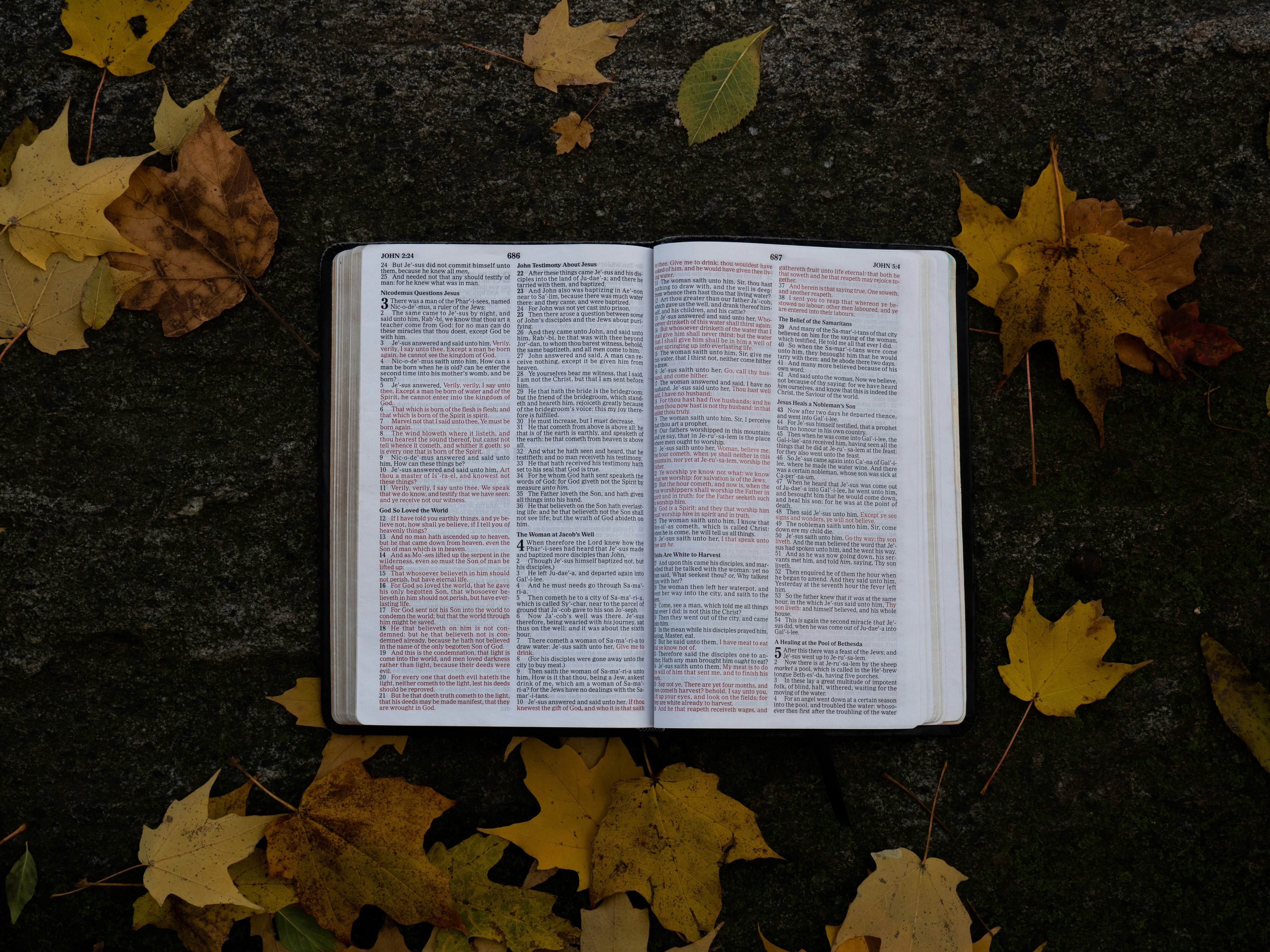 Tools to Memorize Scripture—Memorizing & Studying through Colossians