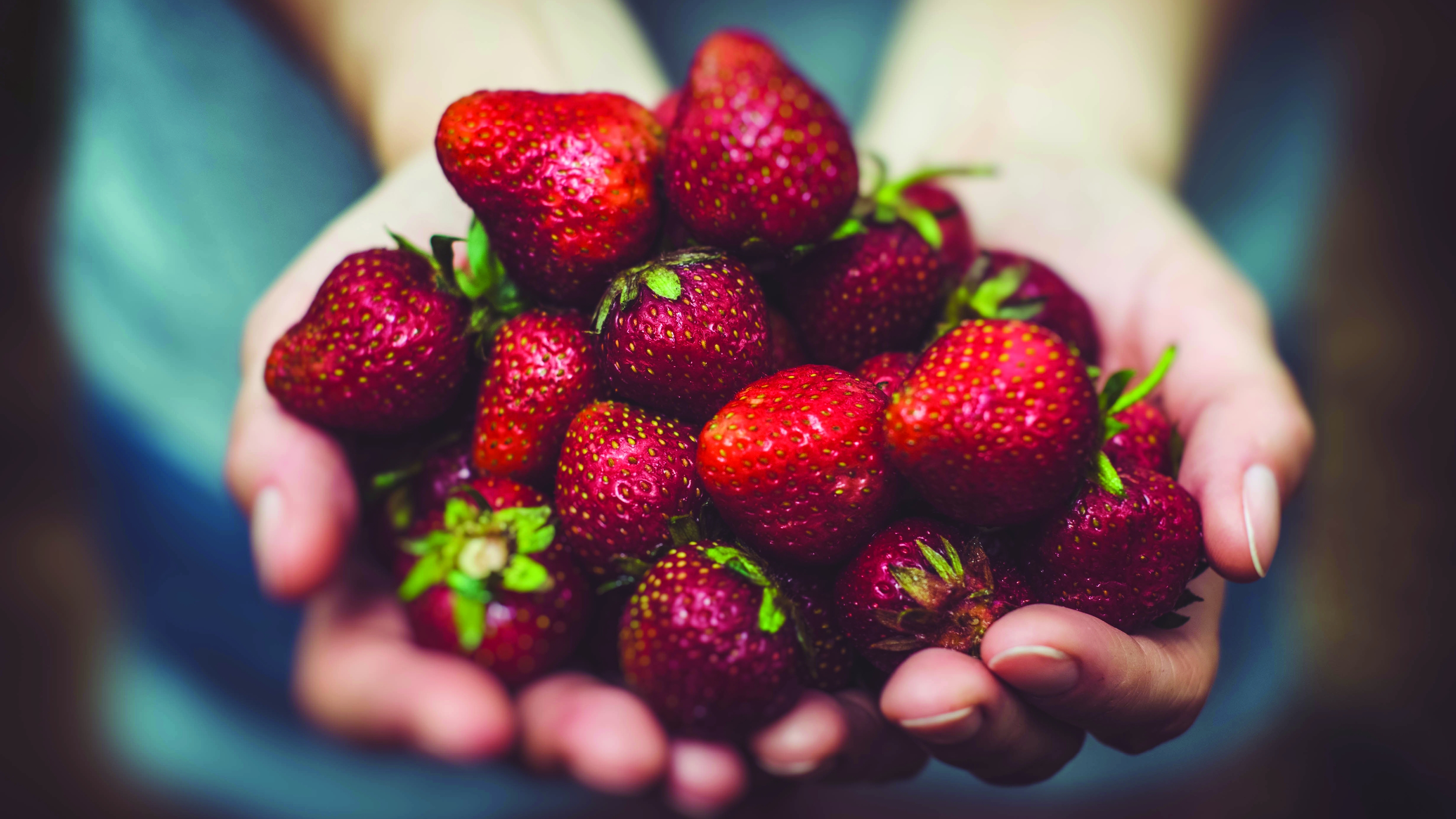 The Fruit-Filled Life (Women only)