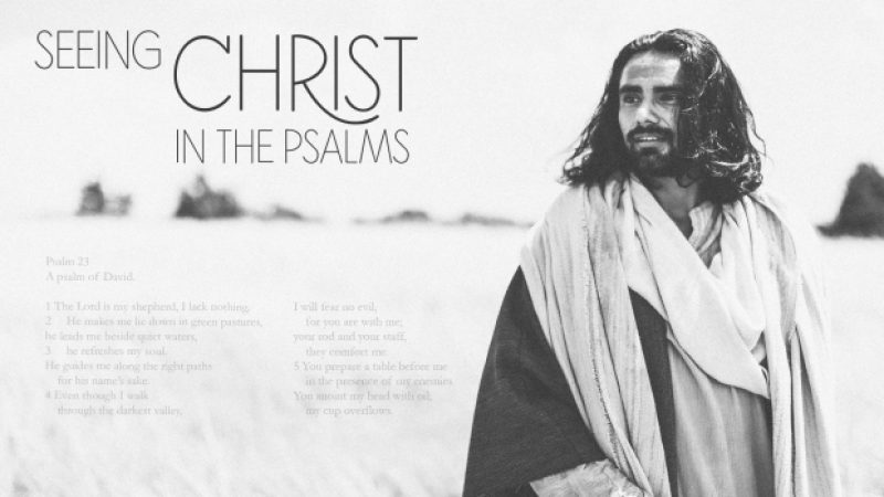 Seeing Christ in the Psalms