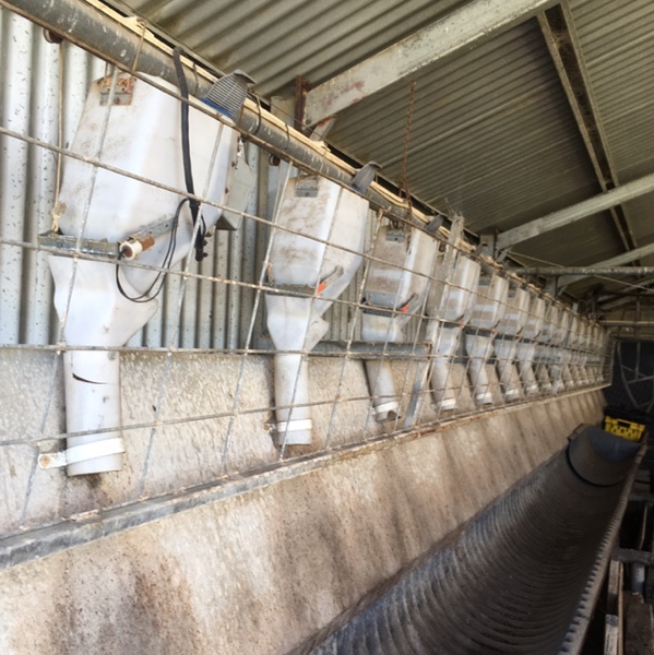 Cablevey Feed System Machinery & Equipment Dairy Equipment