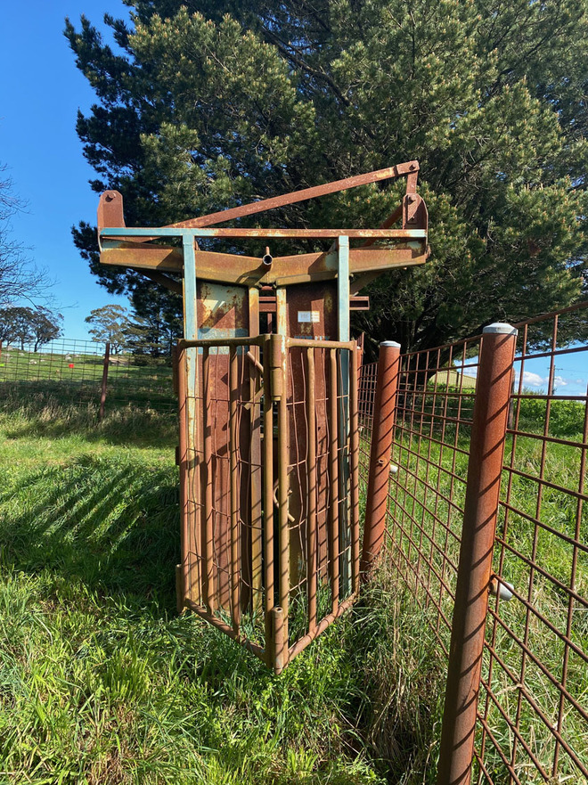 Warwick Cattle Crush & Ruddweigh scales Livestock Equipment