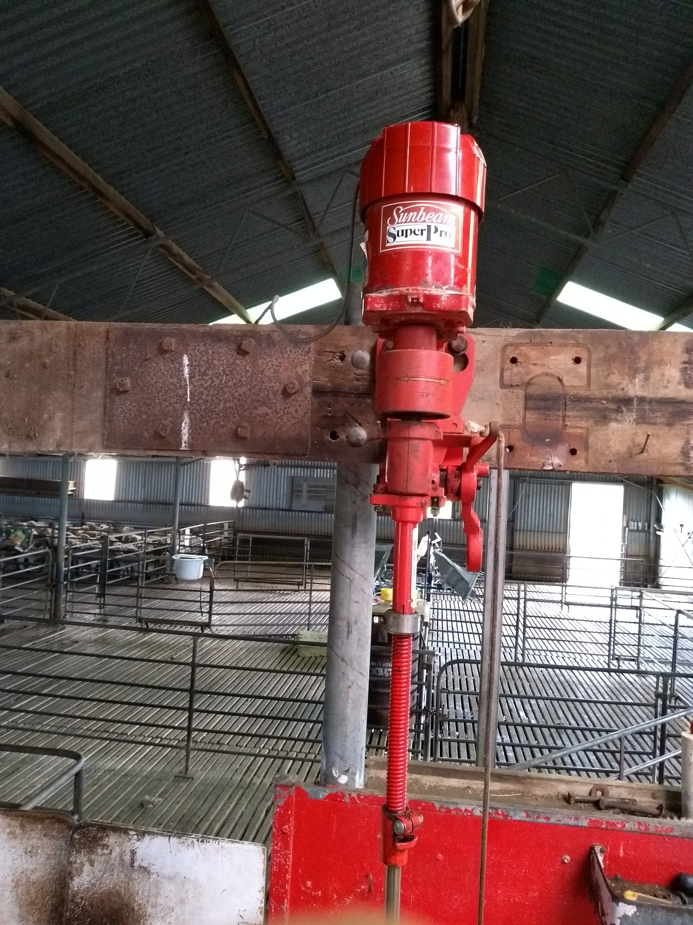 Sunbeam Shearing Plant Livestock Equipment Shearing Equipment