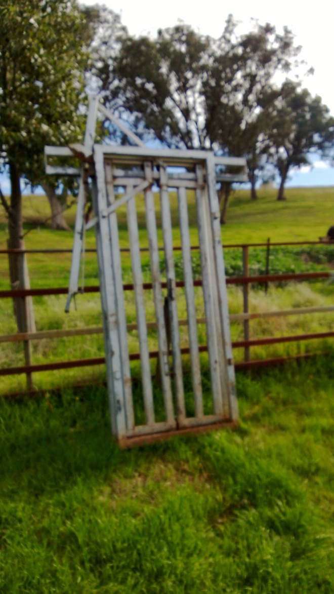 For Sale One Cattle Head Bail 440 gst incl. Livestock Equipment