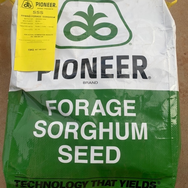 Forage Seed Grain & Seed For Sale