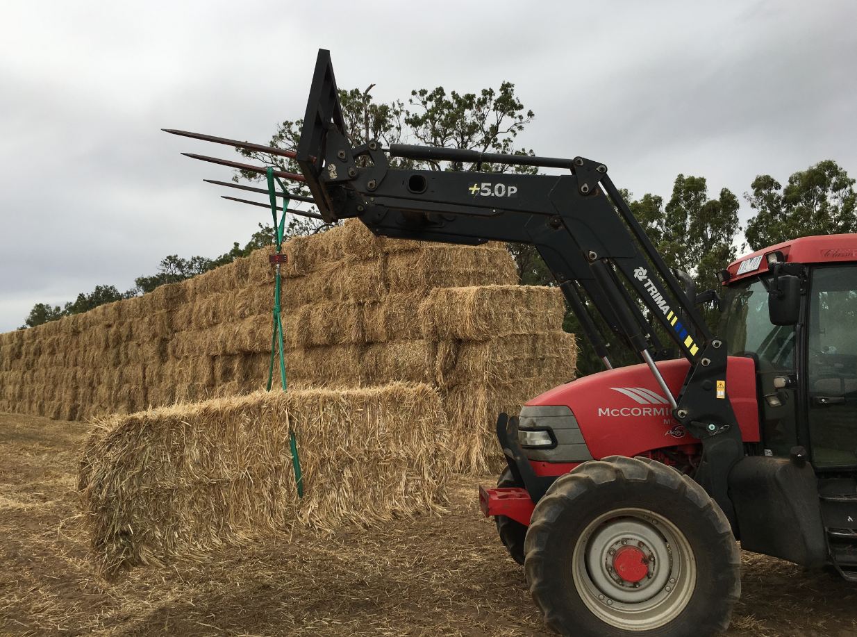 Brilliant quality Oaten Hay in 8x4x3 bales Wellington NSW Hay
