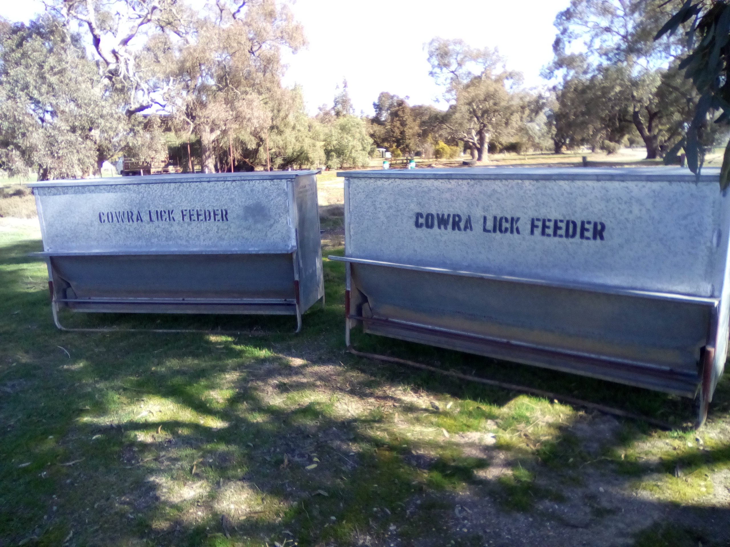 Sheep Lick Feeders Livestock Equipment Livestock Feeding