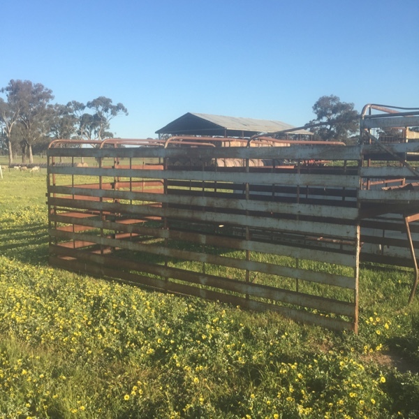 Stock Crate Machinery & Equipment Stock Crates and Trays