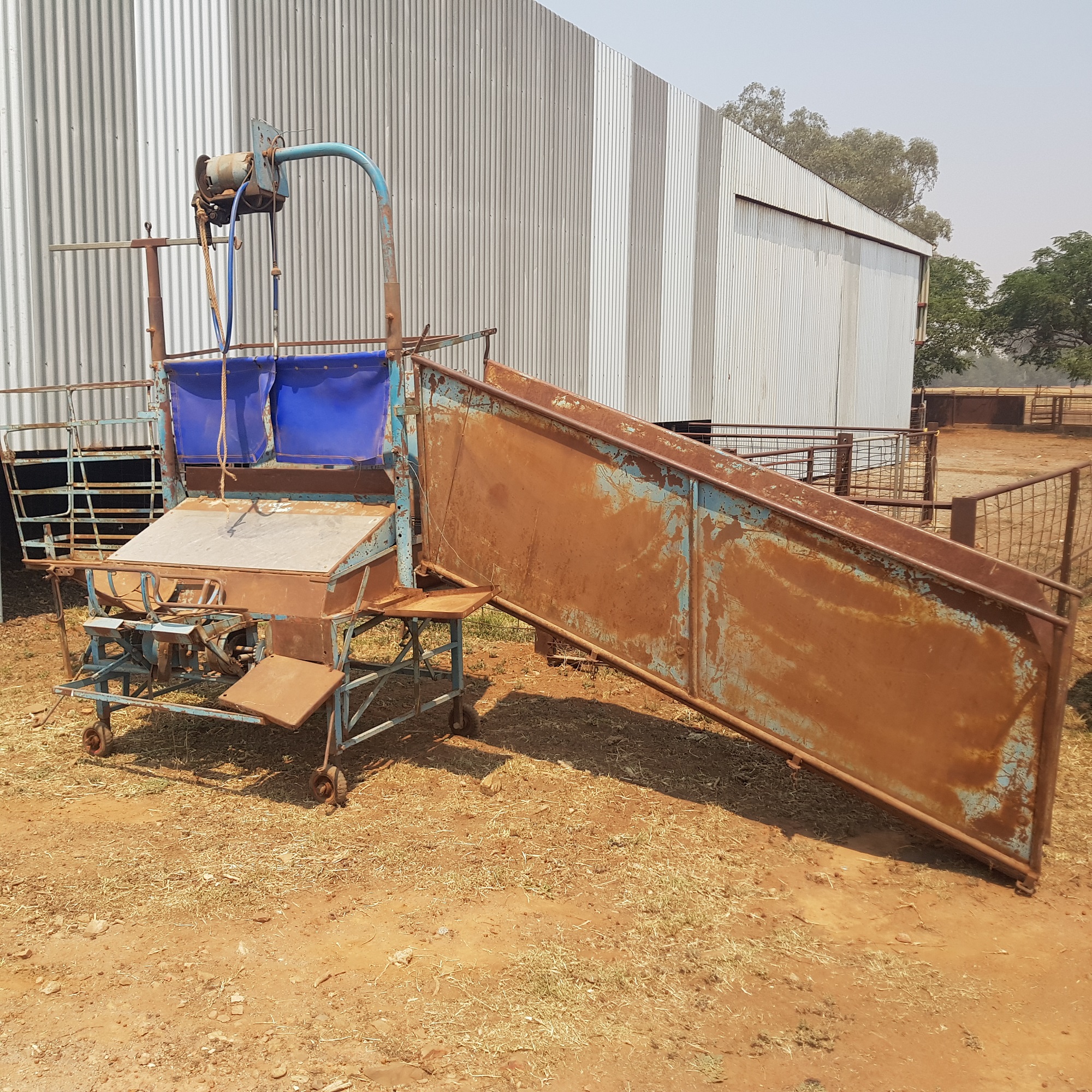 The Henry Young Gun Crutcher For Sale Livestock Equipment