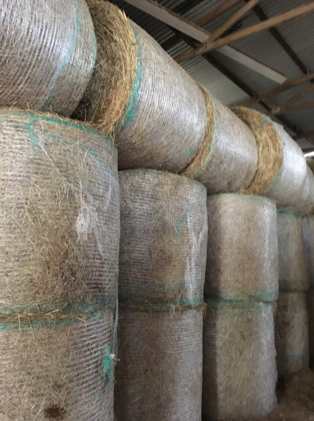 Ryegrass Hay 5x4 Roll 150 & Heavy Rolls Hay & Fodder