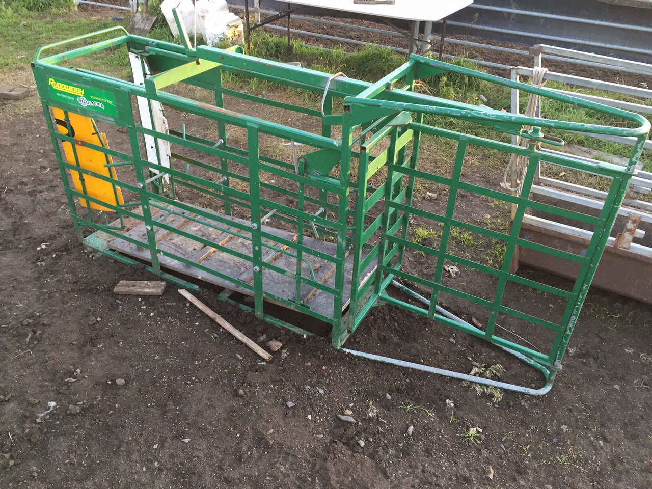 Ruddweigh Sheep Crate with load bars Livestock Equipment