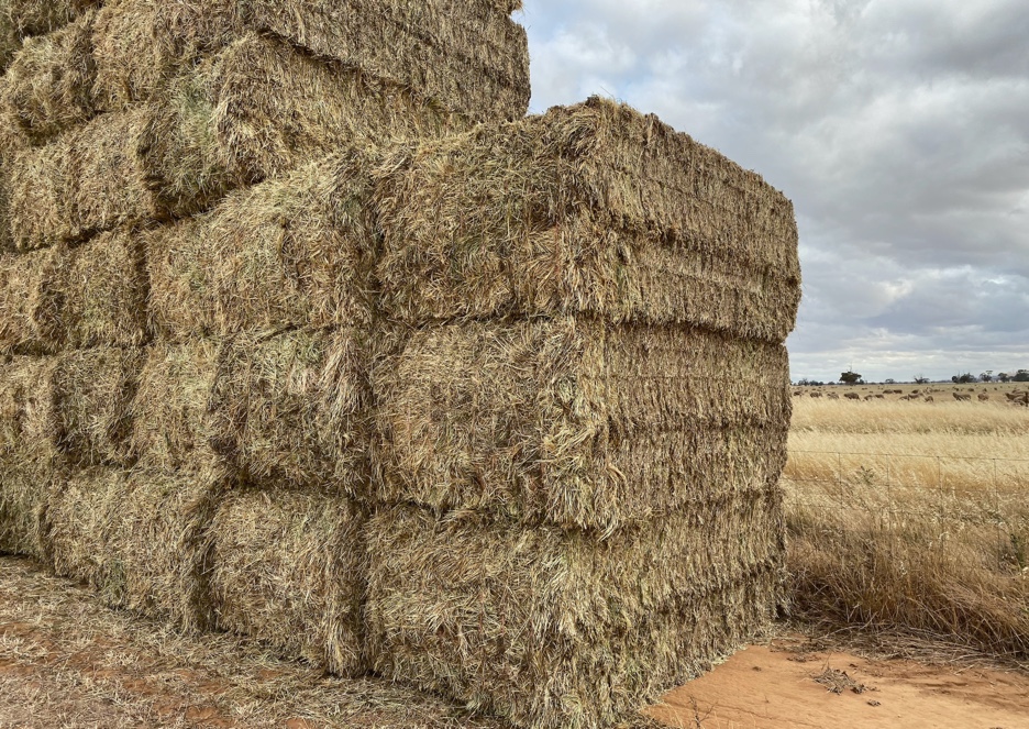 Barley Hay 700730kg 8x4x3 Bales + Freight Hay & Fodder