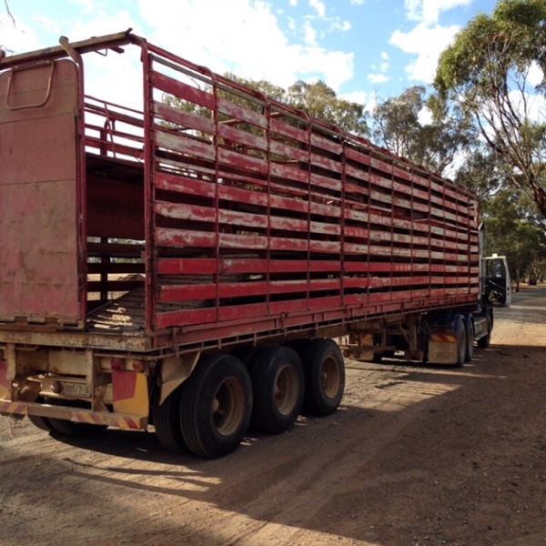 Trailer and stock crate Trucks & Trailers Stock Crates and