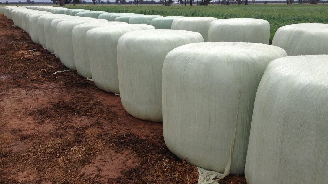 Round Bales of Silage For Sale Hay & Fodder Silage For Sale