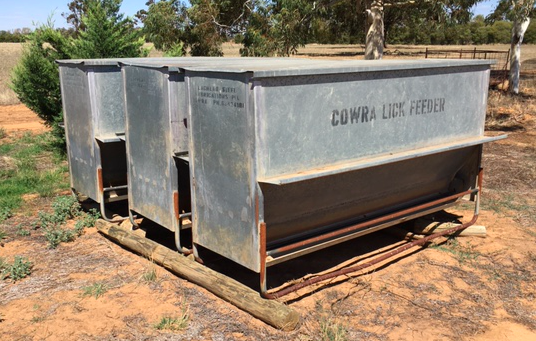 Cowra Lick Feeders Livestock Equipment Livestock Feeding