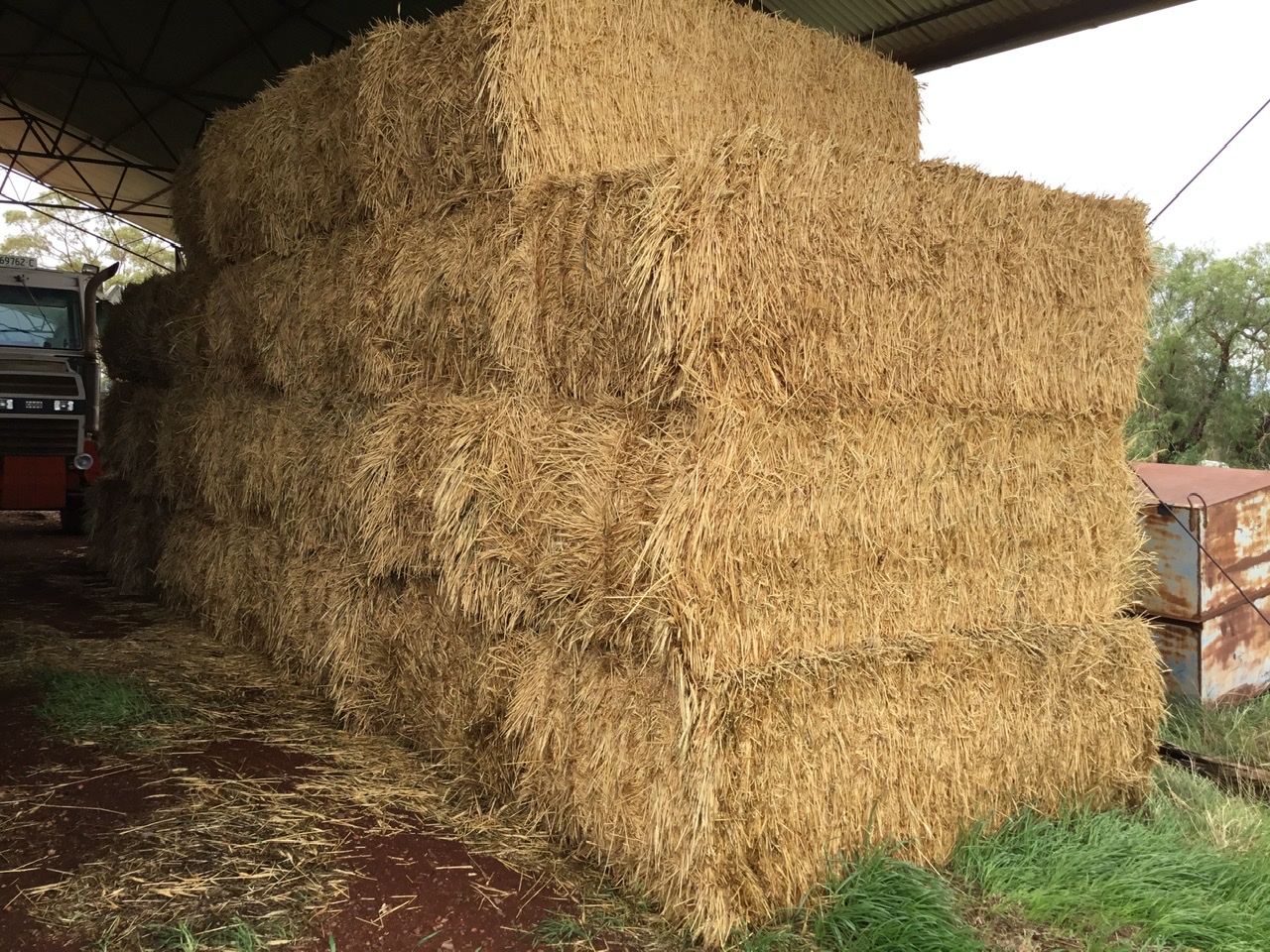 Hay Hay & Fodder Wheaten Hay For Sale
