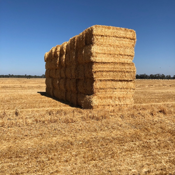 Oaten Straw Hay & Fodder Straw For Sale