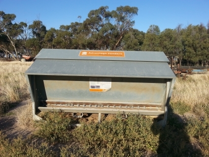 Advantage Feeder Lick Feeder Livestock Equipment Livestock