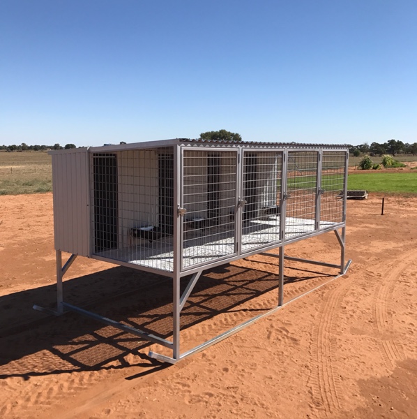 Raised Dog Kennels Livestock Equipment Livestock Handling