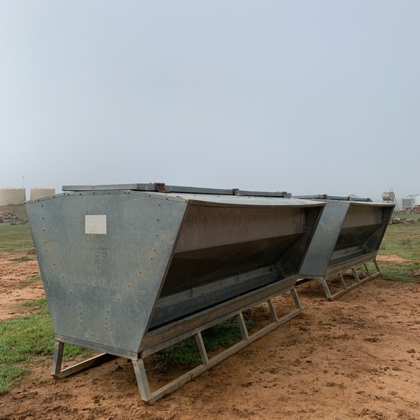 Paton Sheep Lick Feeder Livestock Equipment Livestock Feeding