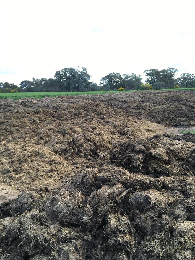 Pig Manure Fertiliser Manure For Sale