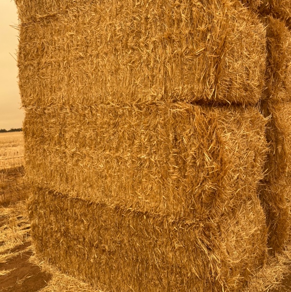 wheat Straw Hay & Fodder Straw For Sale