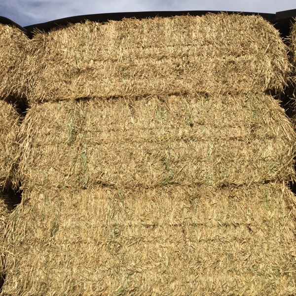 2 x BDouble Loads of Barley Hay Hay & Fodder Barley Hay