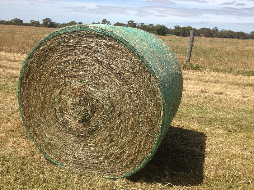 OATEN HAY Hay & Fodder Oaten Hay For Sale