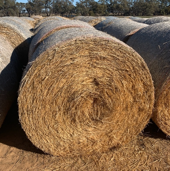 Barley Straw Hay & Fodder Straw For Sale