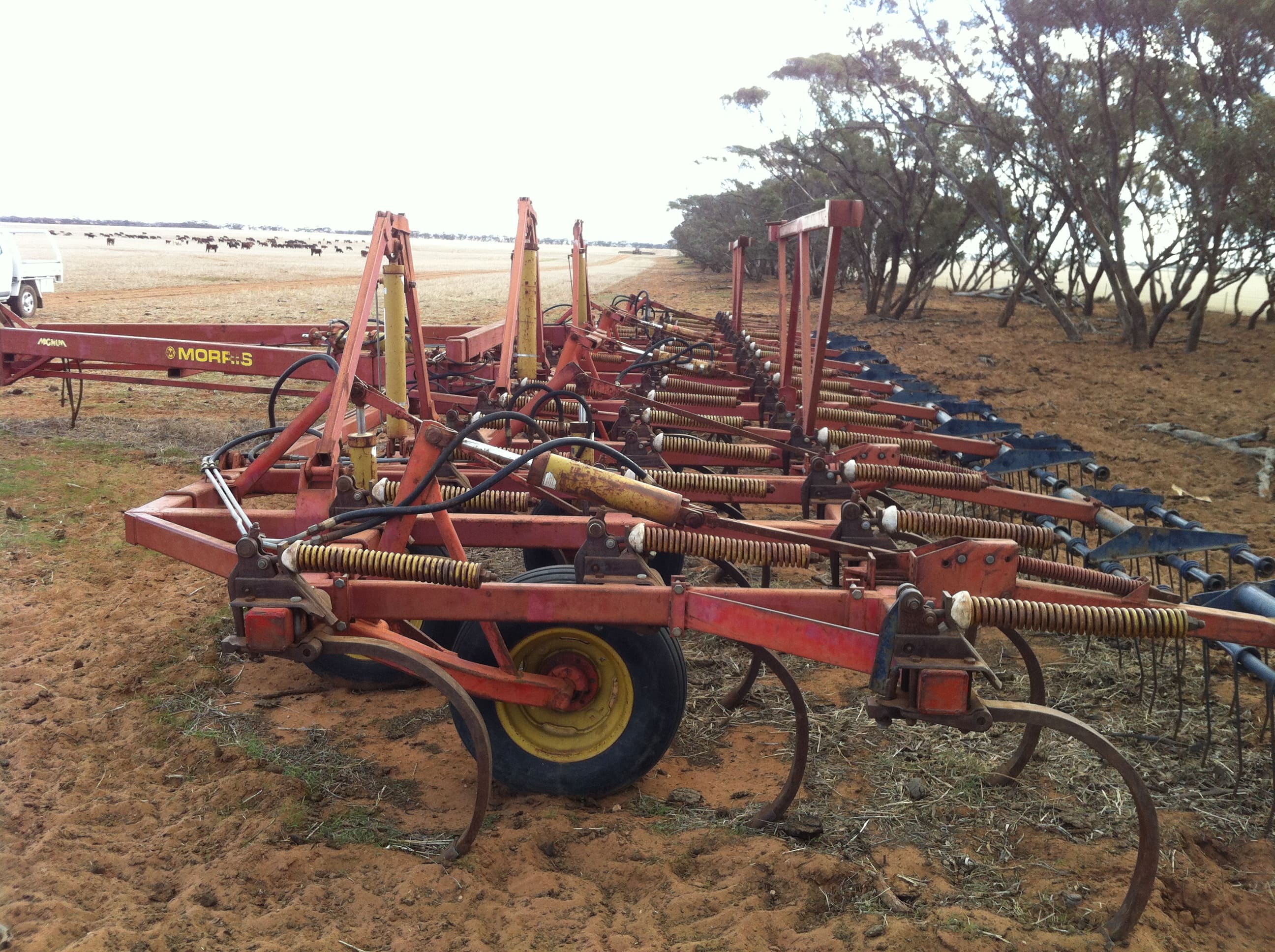 Morris Magnum 50' 5 fold chisel plow Machinery