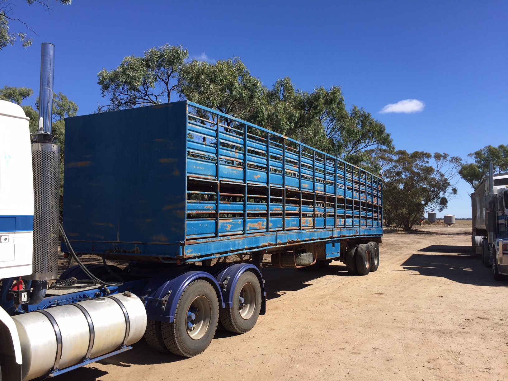 41 foot, 2 deck sheep/1 deck cattle crate and bogie trailer