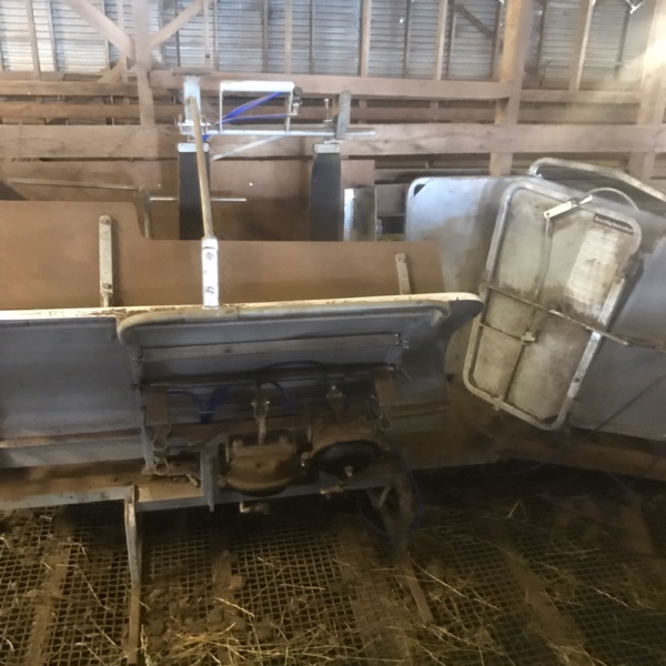 Sheep handler Livestock Equipment Sheep Handlers For Sale