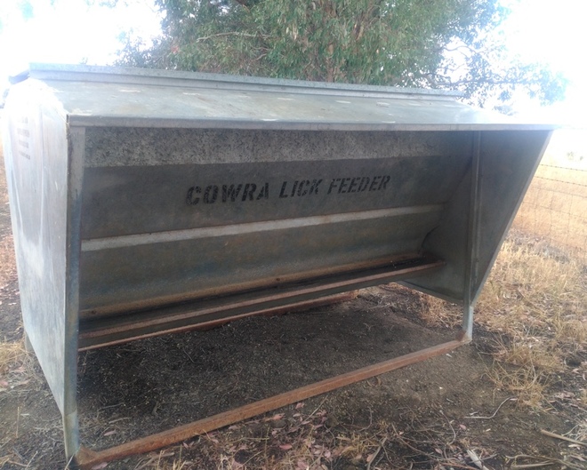 Lick feeders Livestock Equipment Livestock Feeding Equipment