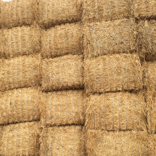 Barley straw Hay & Fodder Straw For Sale