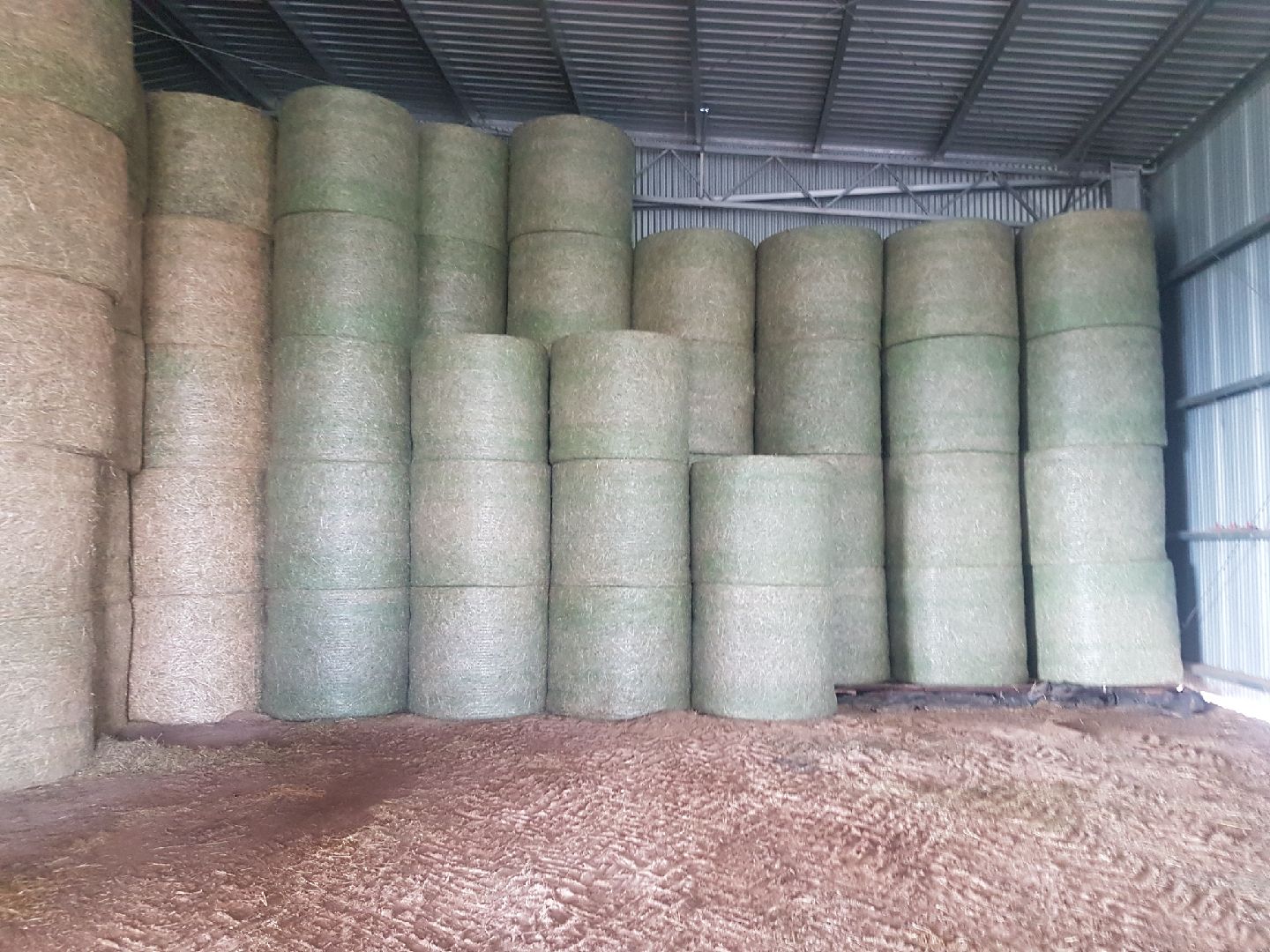 Legume Based Pasture Hay Rolls For Sale Avge 400Kgs / Roll Hay