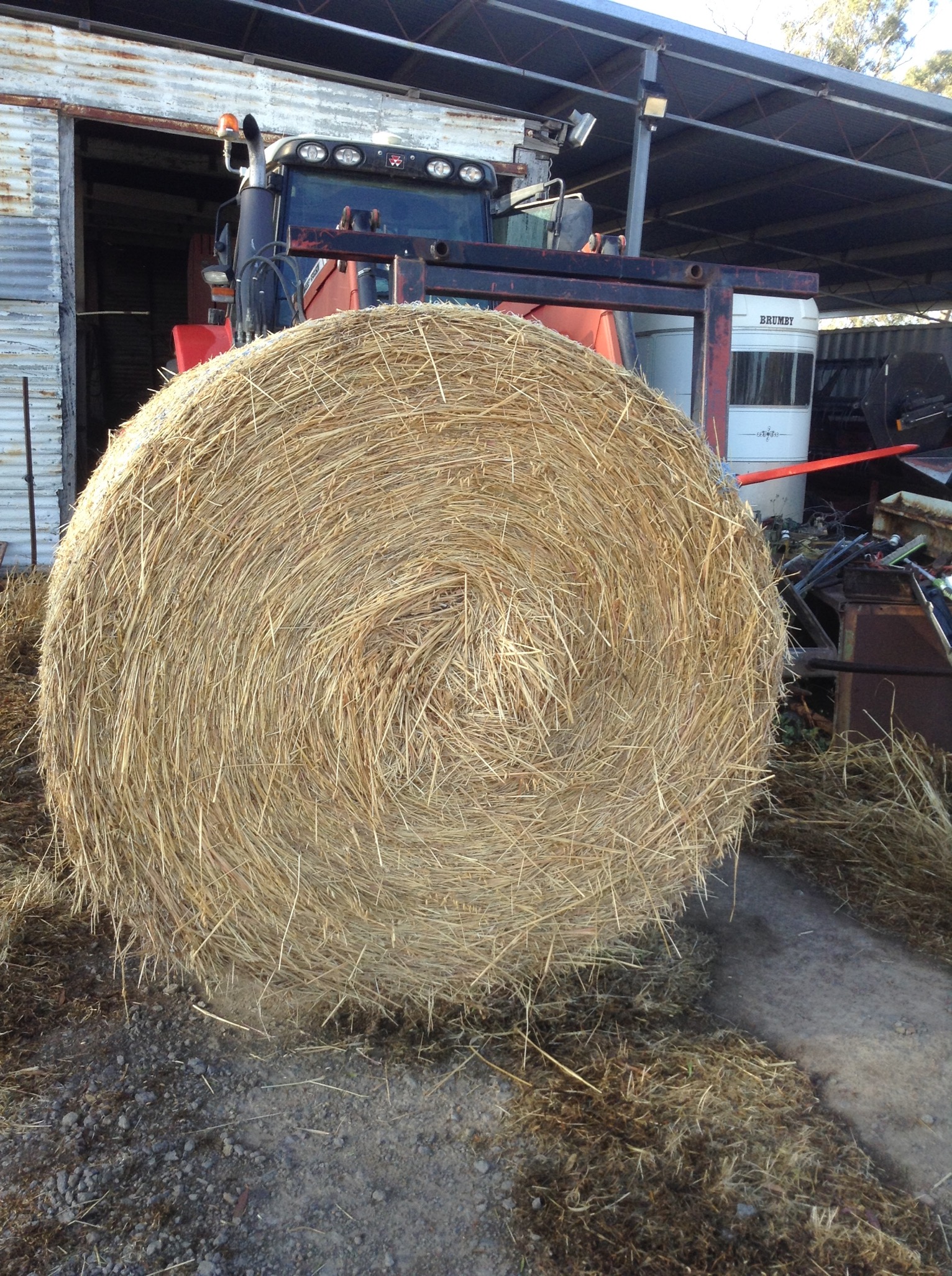 Hay Oaten/rye Rolls 5x4 Hay & Fodder Cereal Hay For Sale