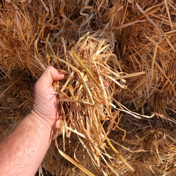 Oaten Straw Hay & Fodder Straw For Sale