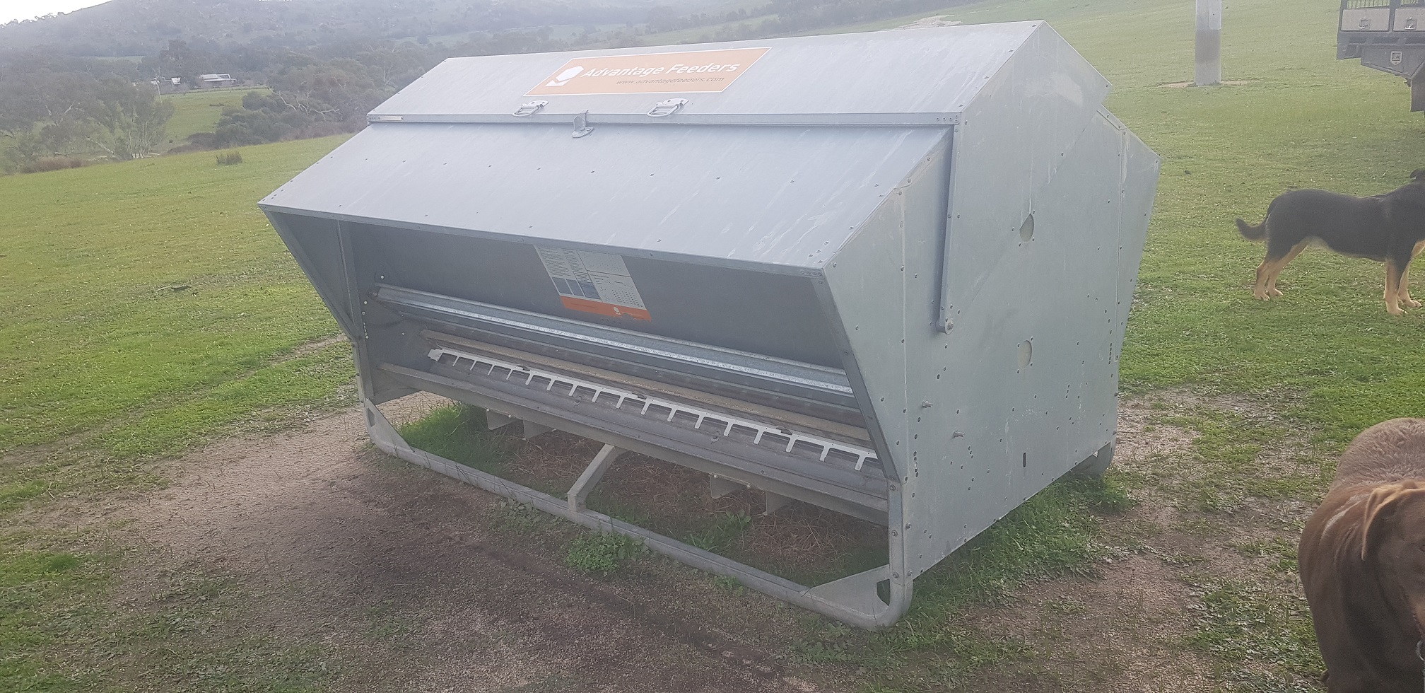 NGF1800 Advantage Sheep Feeder Livestock Equipment Livestock