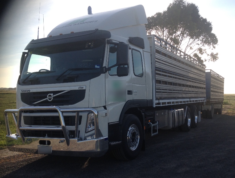 2013 Volvo FM 500 Truck with Stock Crate and Tipper Bodies For Sale