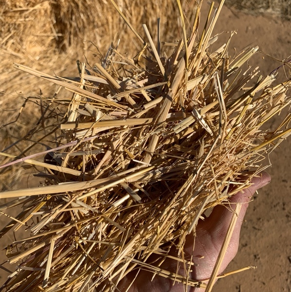 Barley Straw Hay & Fodder Straw For Sale