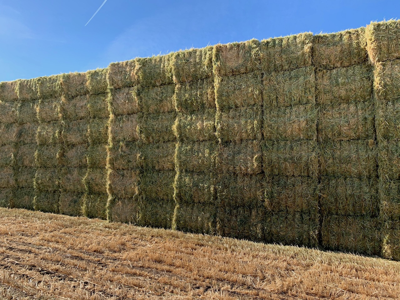 Oaten Hay 600kg 8x4x3 Bales Hay & Fodder Oaten Hay For Sale