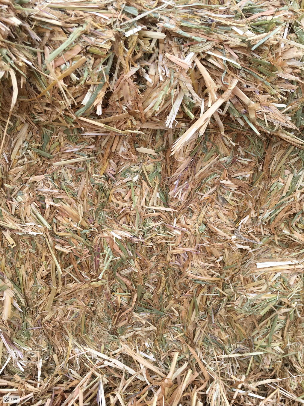 Barley Straw Excellent Quality Hay & Fodder Straw For