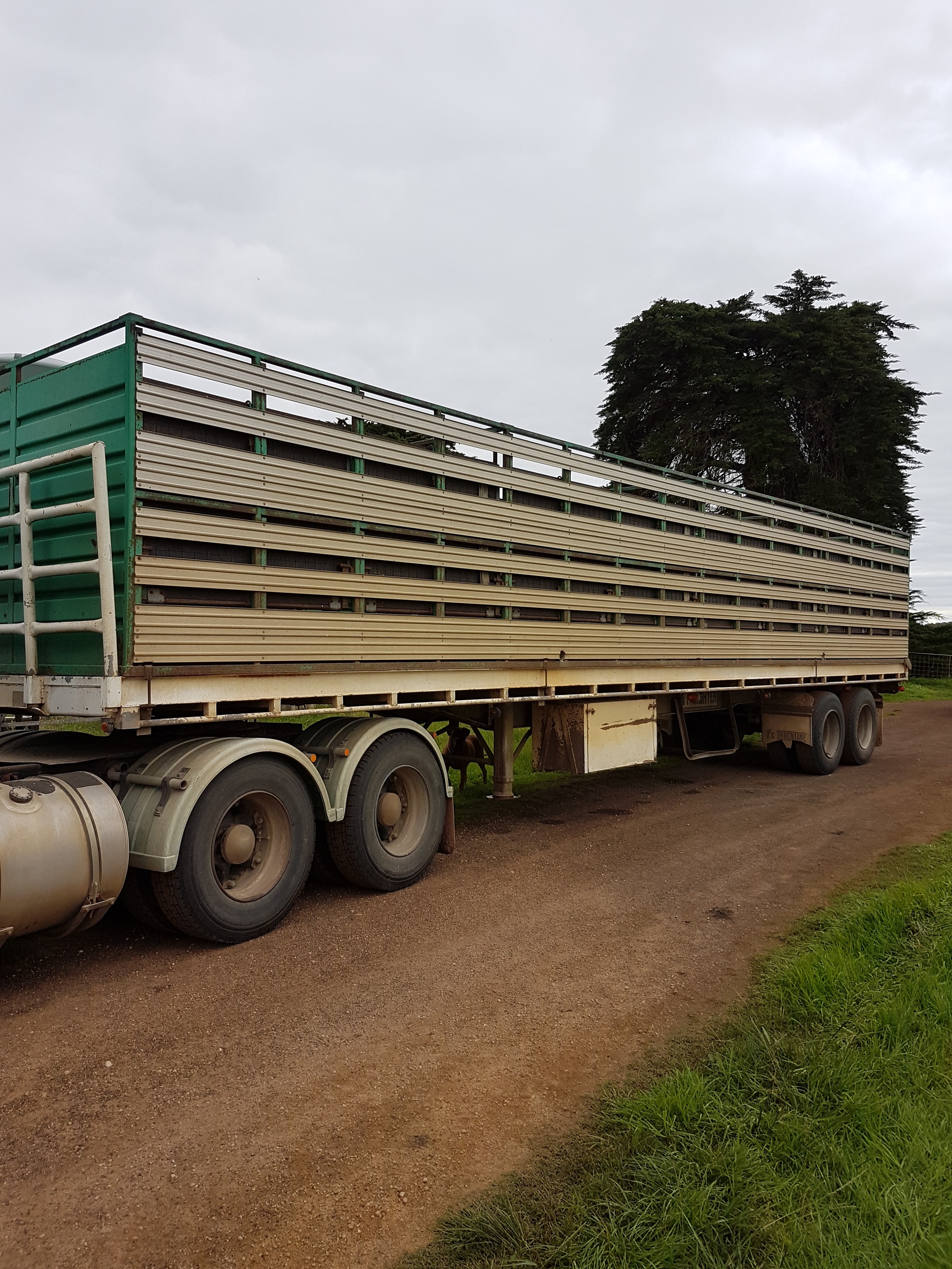 2x1 Stock Crate on trailer Trucks & Trailers Stock Crates