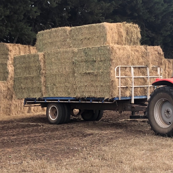 Hay Trailer Machinery & Equipment Trailers For Sale